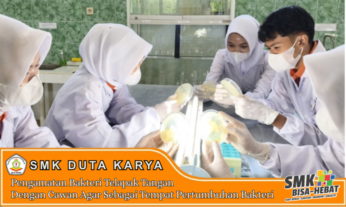 Praktik Pengamatan Bakteri