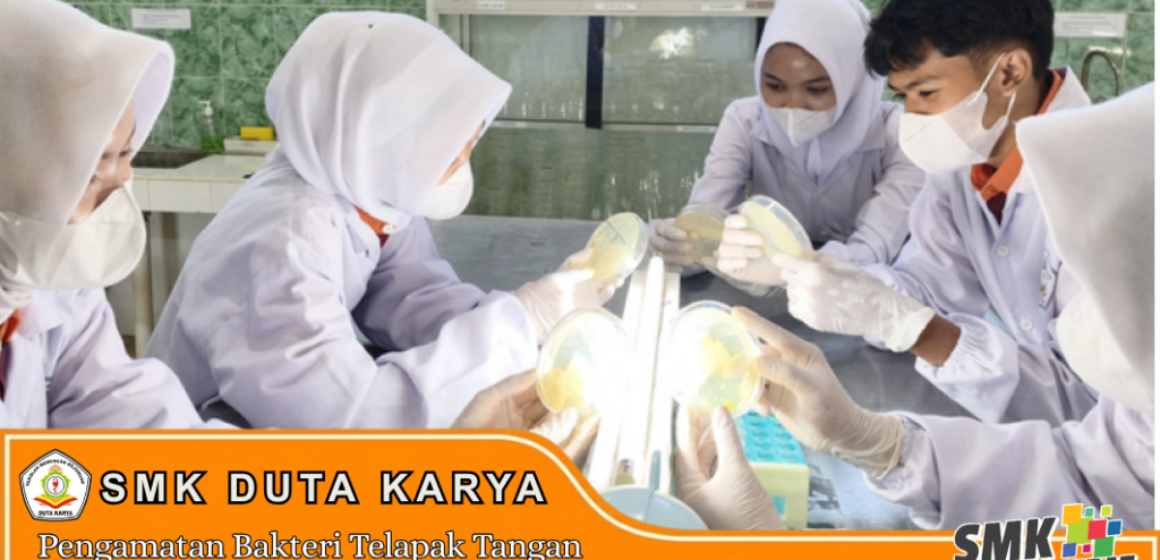 Praktik Pengamatan Bakteri